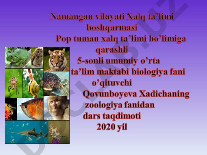 Chorvachilik va qishloq xo'jaligi hayvonlari