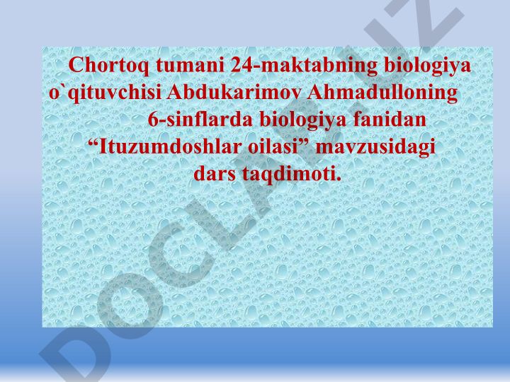 Ituzumdoshlar oilasi