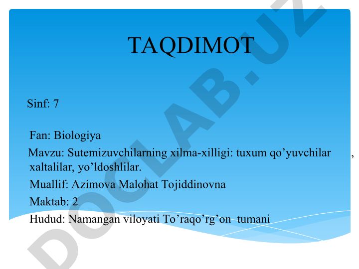 Sutemizuvchilarning xilma-xilligi: tuxum qo'yuvchilar, xaltalilar, yo'ldoshlilar