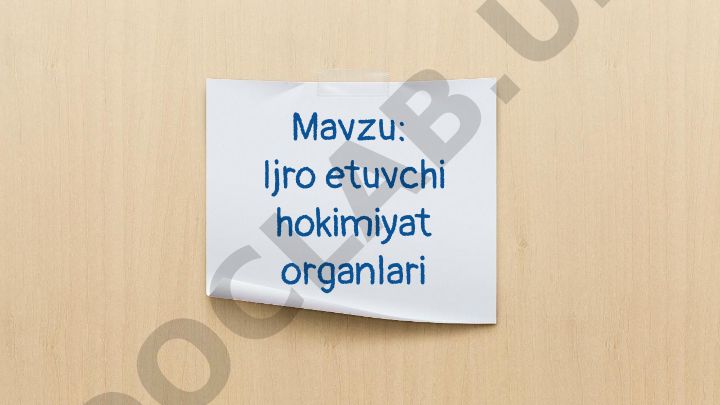 Ijro etuvchi hokimiyat organlari va Vazirlar Mahkamasi