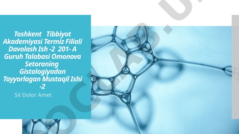 Hazmlanish jarayonining endokrin boshqariluvi. Me'da-ichak nayining endokrin hujayralari