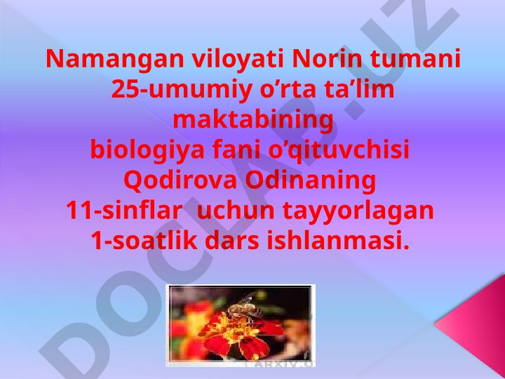 Tirik organizmlarda o'z-o'zini idora etish organlari: Gumoral va nerv sistemasi evolutsiyasi
