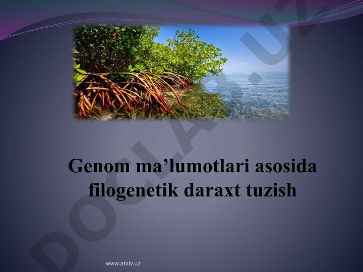 Genom ma'lumotlari asosida filogenetik daraxt tuzish