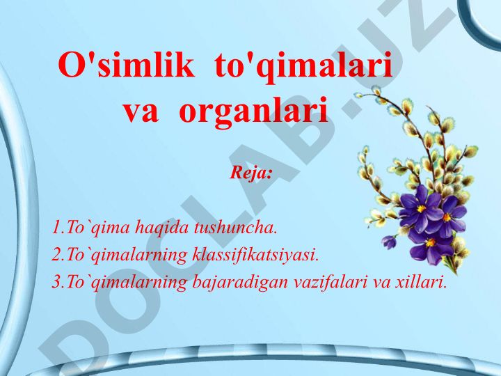 O'simlik to'qimalari va organlari