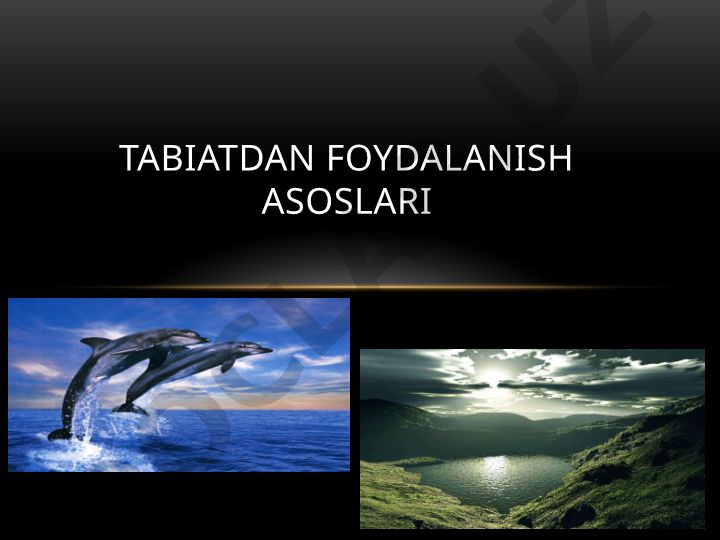 Tabiatdan foydalanish asoslari va tabiiy resurslar turlari