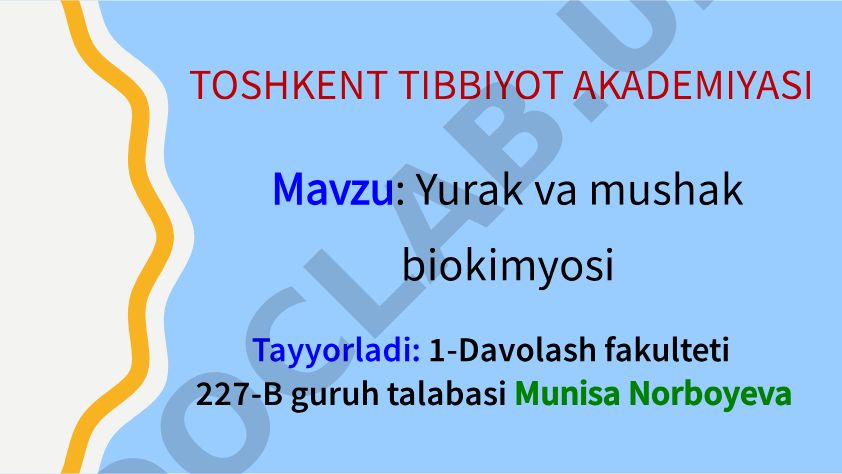 Yurak va mushak biokimyosi