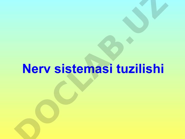 Nerv sistemasi tuzilishi va nerv markazlarining xossalari