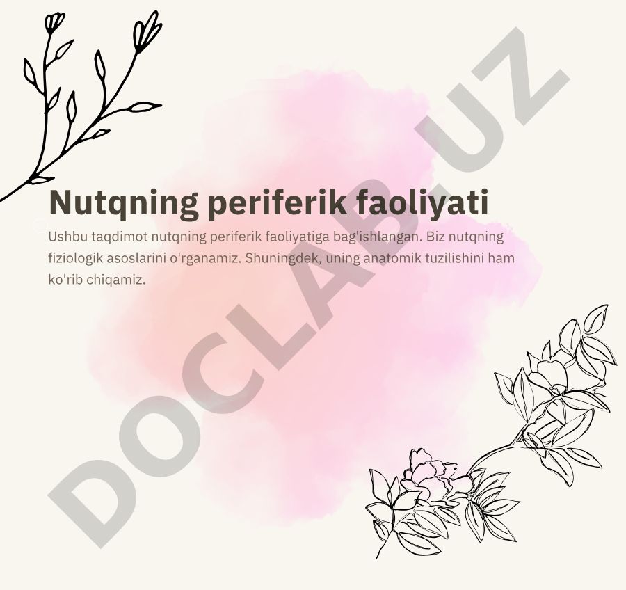 Nutqning periferik faoliyati va anatomik tuzilishi