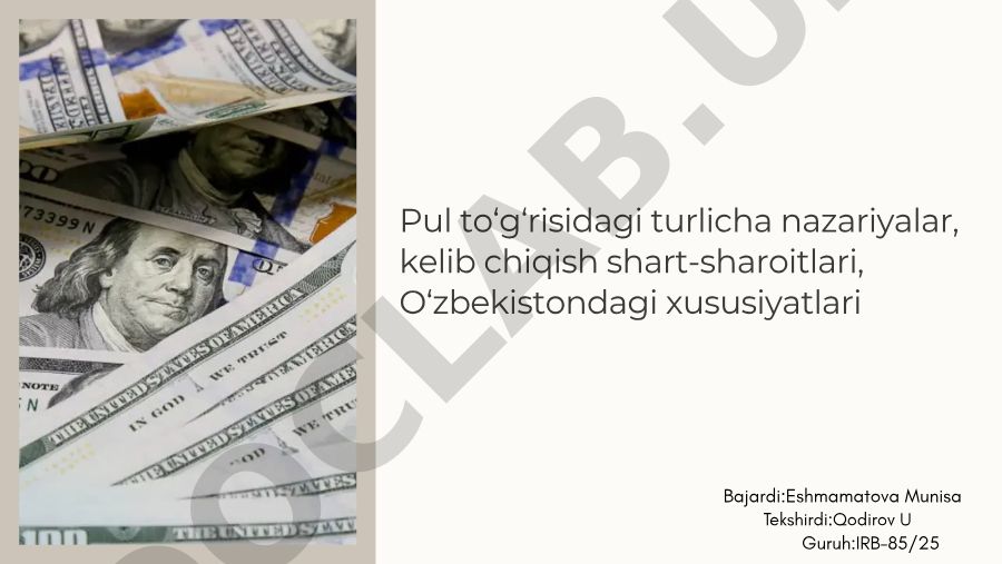 Pulning mohiyati, tarixiy rivojlanishi va O'zbekistondagi xususiyatlari