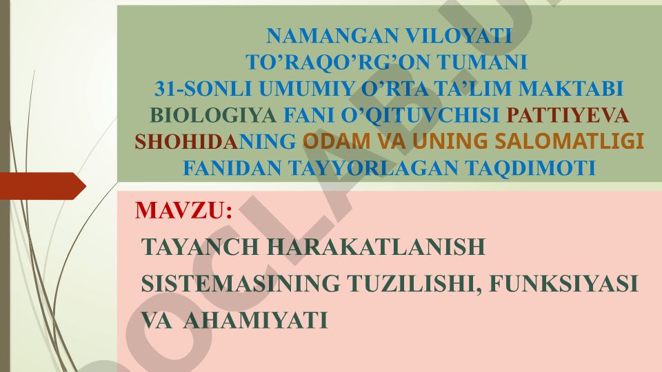 Tayanch harakatlanish sistemasining tuzilishi, funksiyasi va ahamiyati