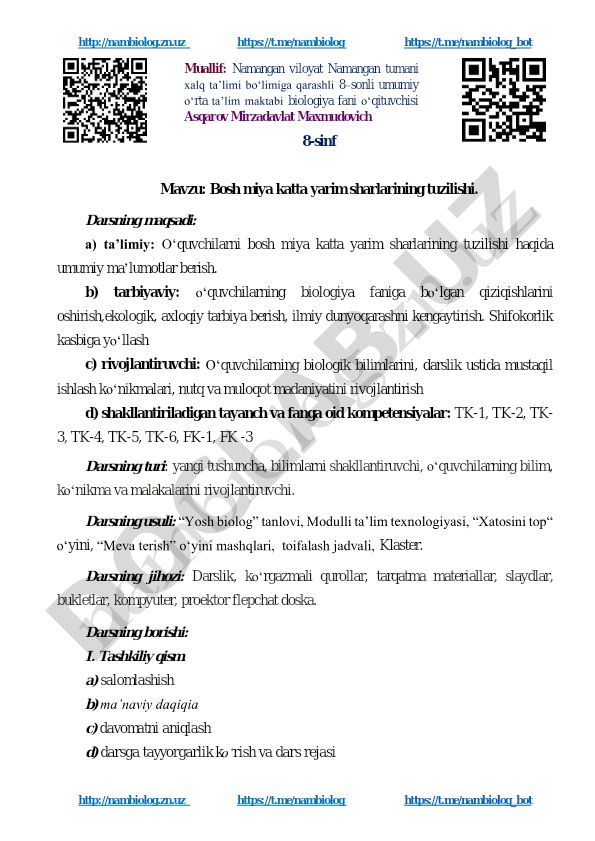 Bosh miya katta yarim sharlarining tuzilishi