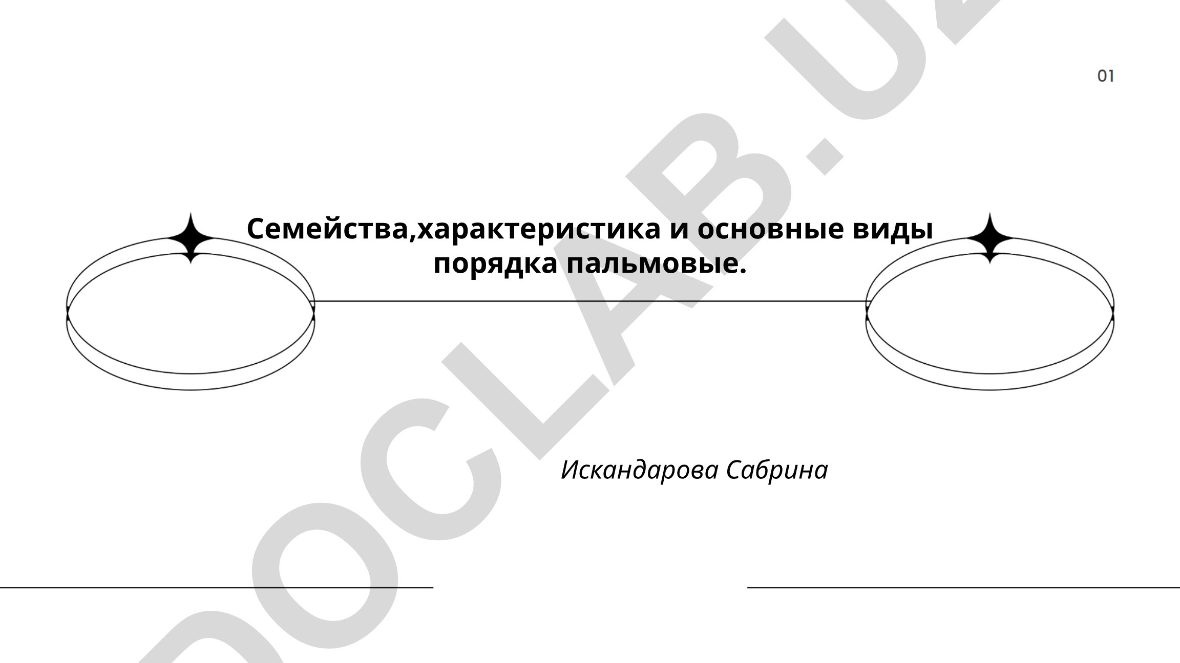 Семейства, характеристика и основные виды порядка пальмовые