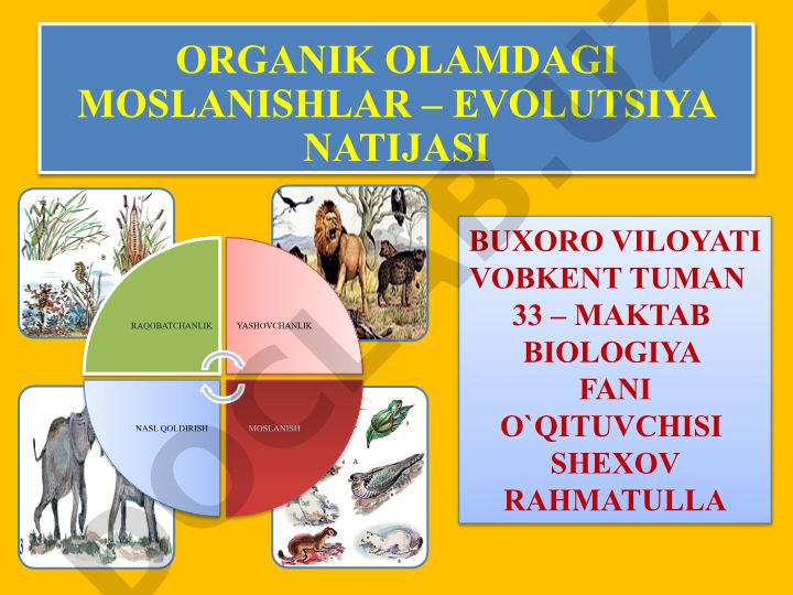 Organik olamdagi moslanishlar – evolyutsiya natijasi