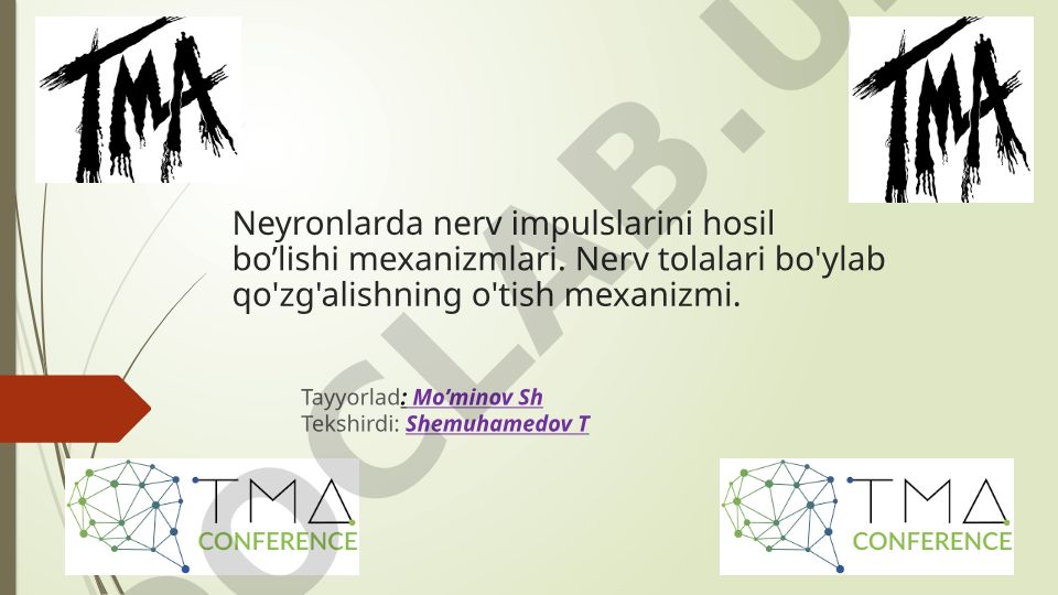 Neyronlarda nerv impulslarini hosil bo'lishi mexanizmlari va nerv tolalari bo'ylab qo'zg'alish o'tishi