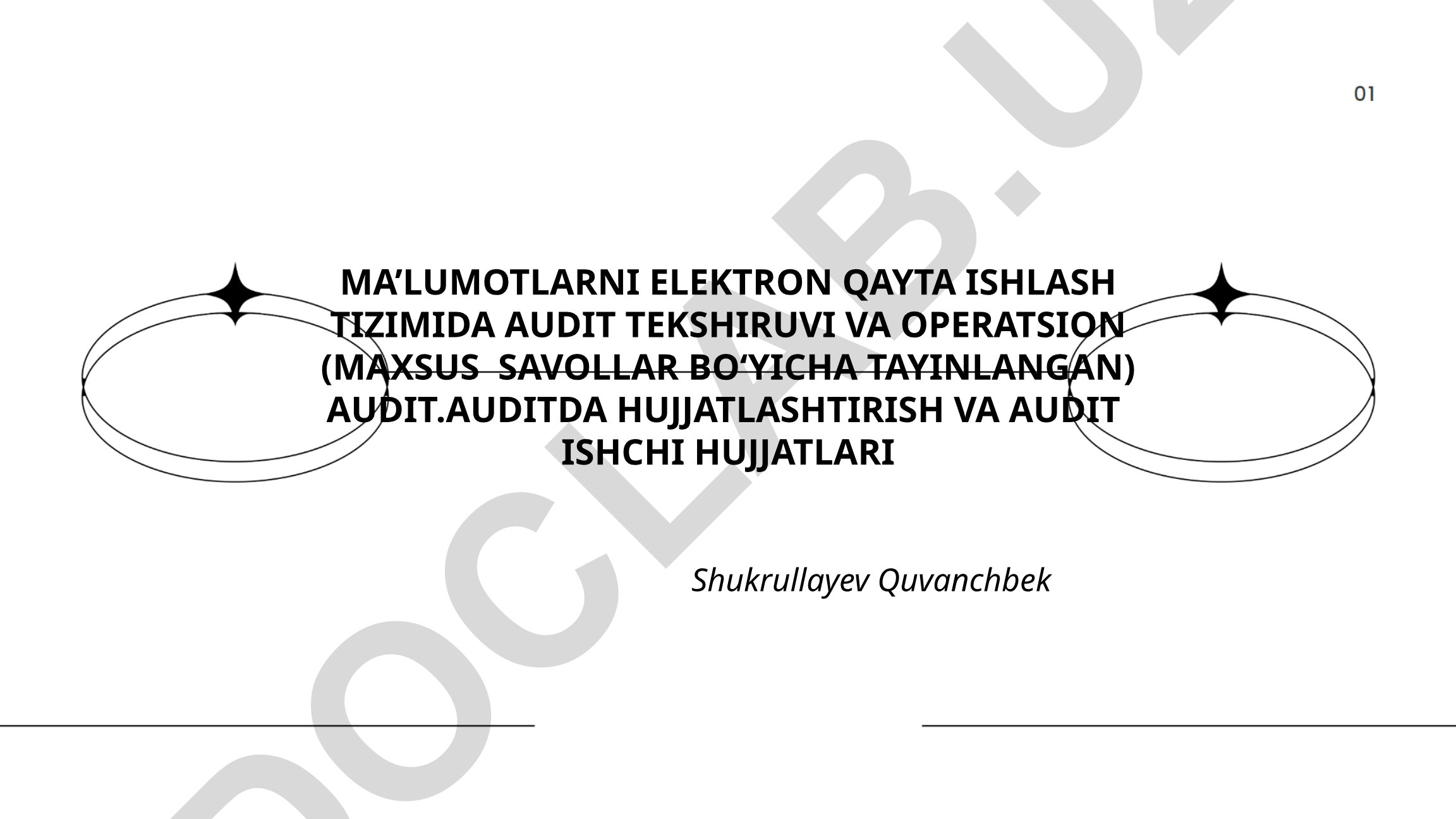 Ma'lumotlarni elektron qayta ishlash tizimida audit tekshiruvi va hujjatlashtirish