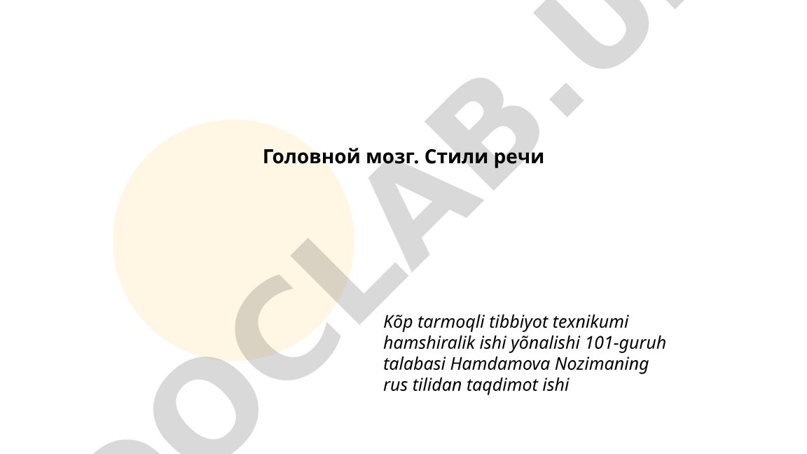 Головной мозг. Стили речи