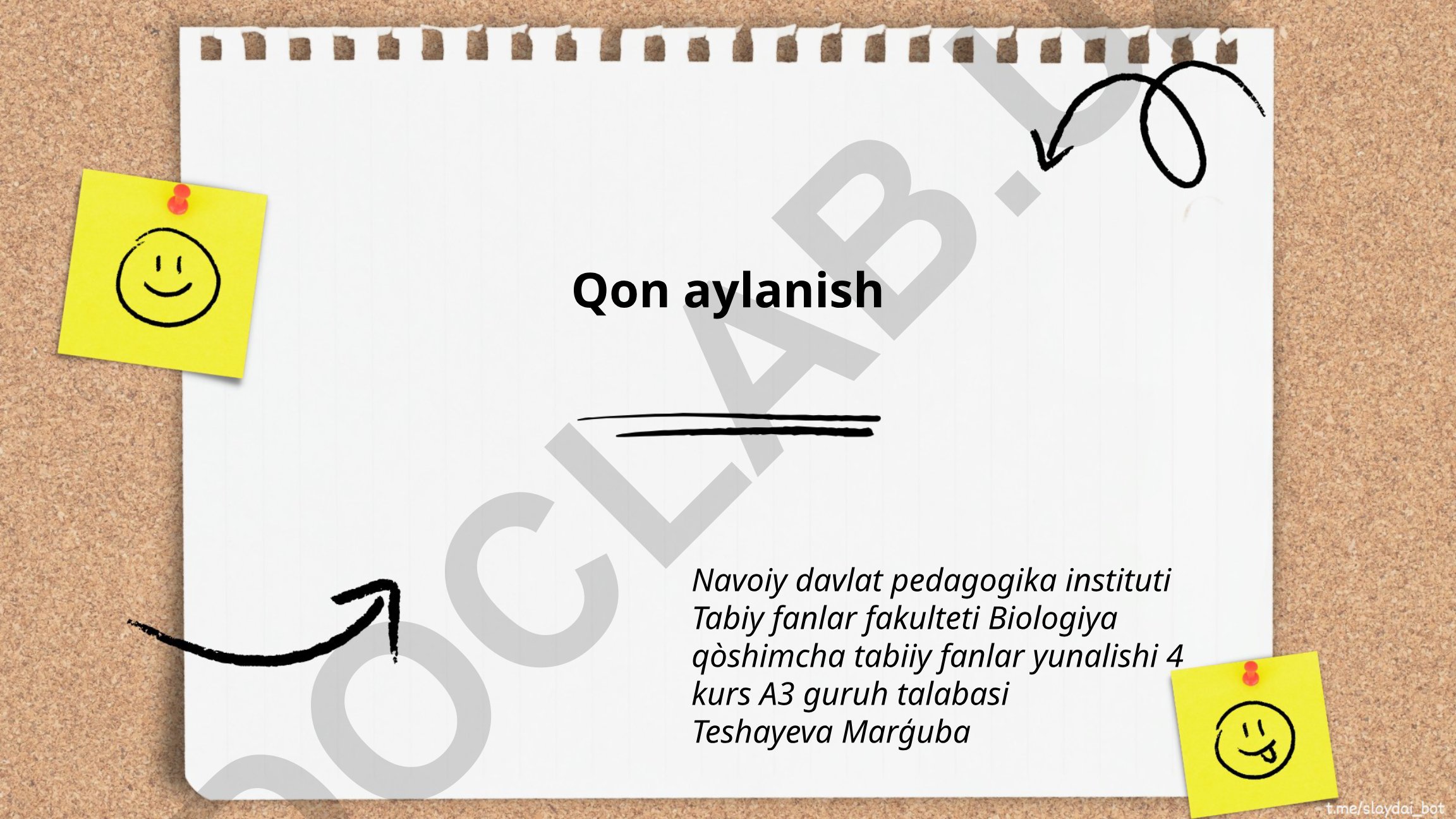 Qon aylanish tizimi anatomiyasi va fiziologiyasi