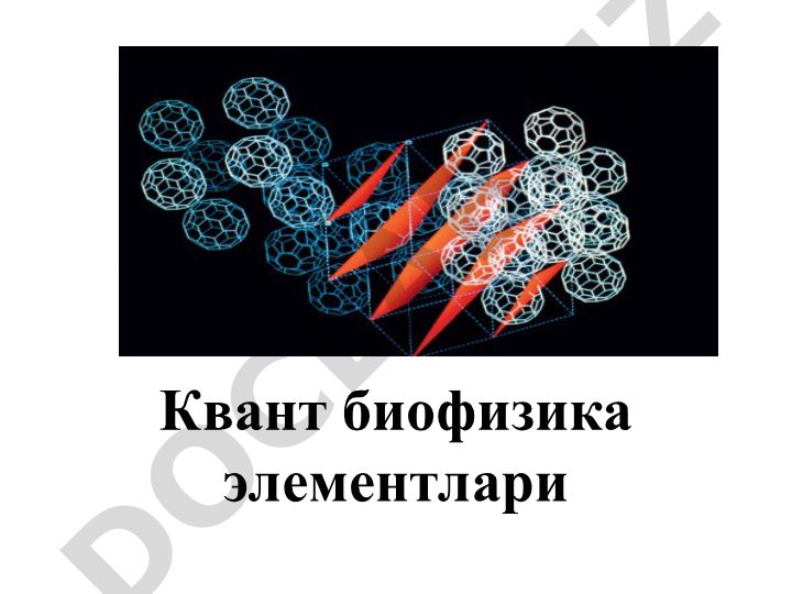 Квант биофизика элементлари: фотофизика, фотокимё ва энергия ўтиш механизмлари