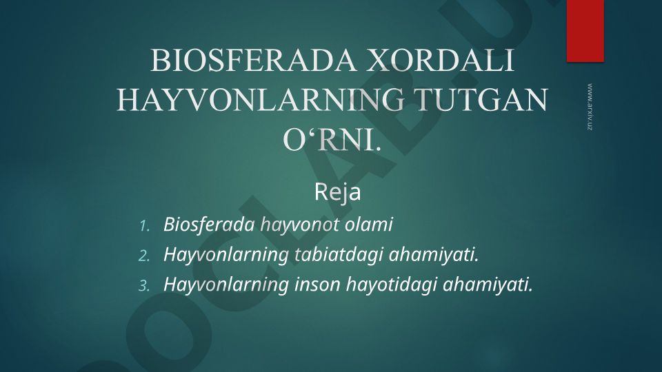 Biosferada xordali hayvonlarning tutgan o‘rni