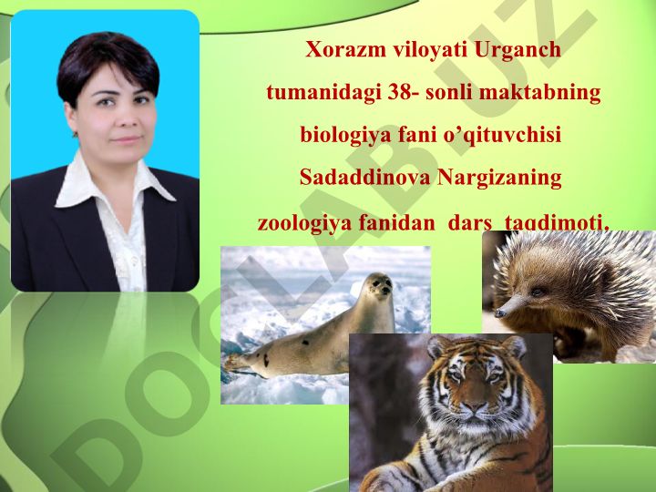 Sut emizuvchilarning xilma-xilligi
