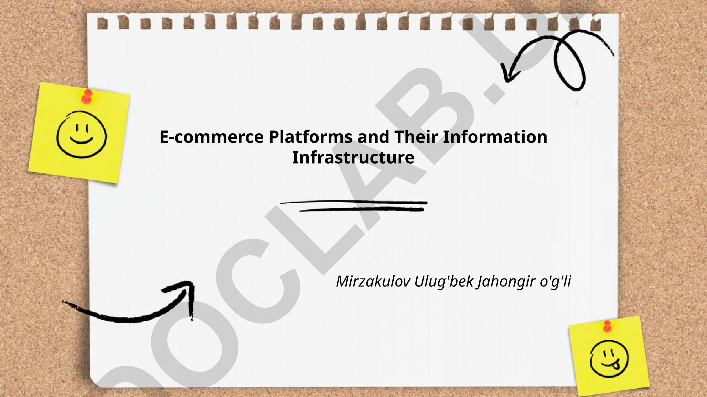 E-commerce Platforms and Their Information Infrastructure