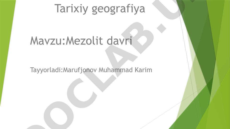 Mezolit davri
