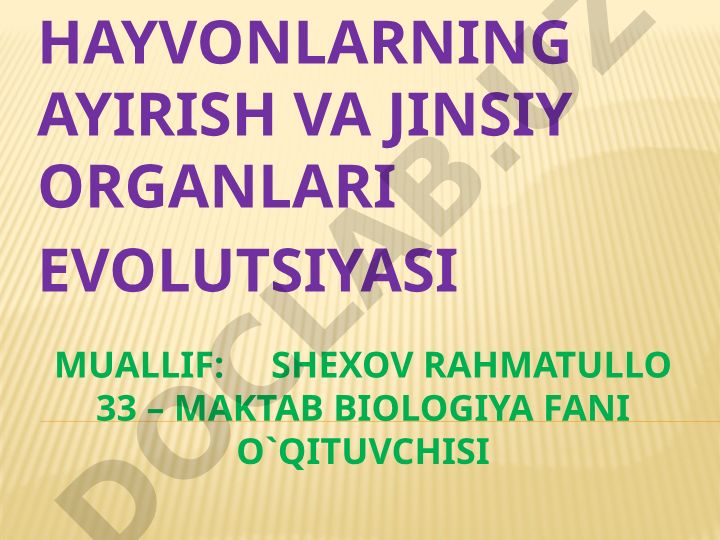 Hayvonlarning ayirish va jinsiy organlari evolyutsiyasi