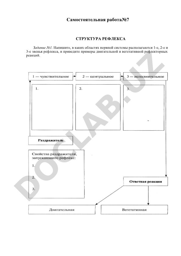 Структура рефлекса и рефлекторные реакции
