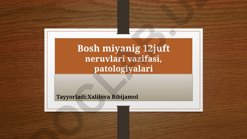 Bosh miya 12 juft nervlari vazifasi va patologiyalari