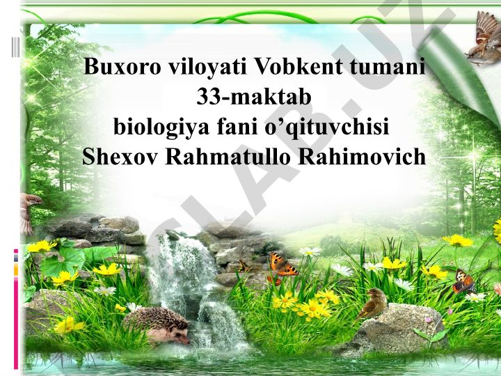 1 - laboratoriya mashg'uloti: Xavfsizlik texnikasi va laboratoriya jihozlari