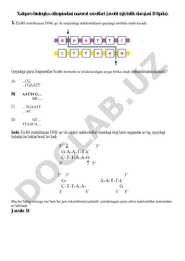 Xalqaro biologiya olimpiadasi nazorat savollari javobi (qiyinlik darajasi B tipda)