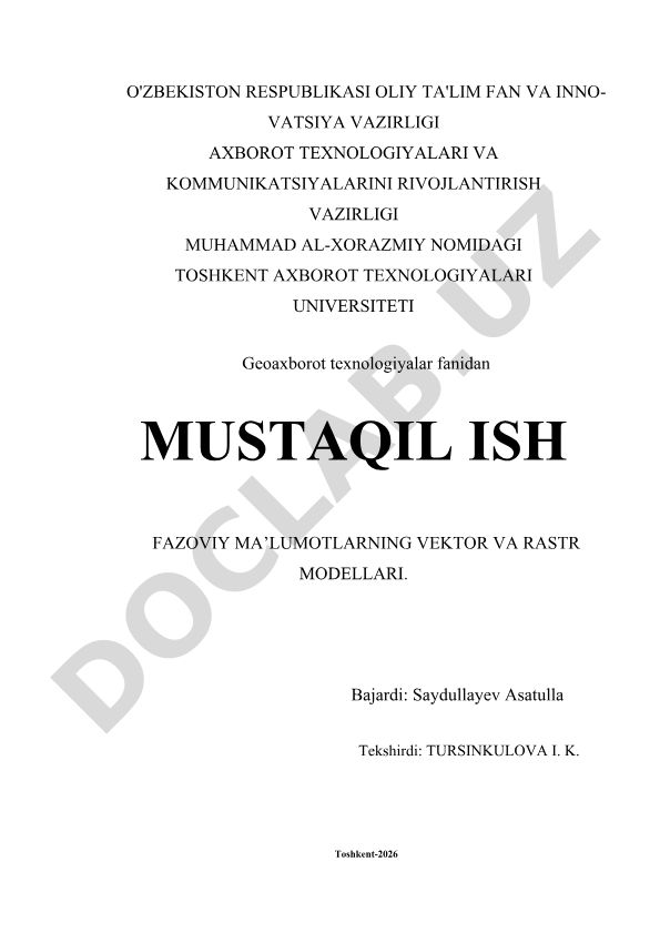 Fazoviy ma'lumotlarning vektor va rastr modellari