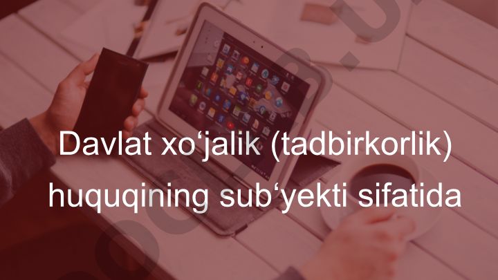 Davlat tomonidan tadbirkorlik faoliyatini amalga oshirish