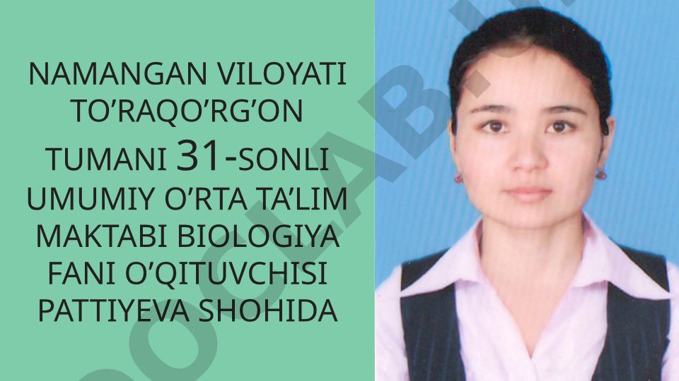 Pardaqanotlilar turkumi: Asalarilar