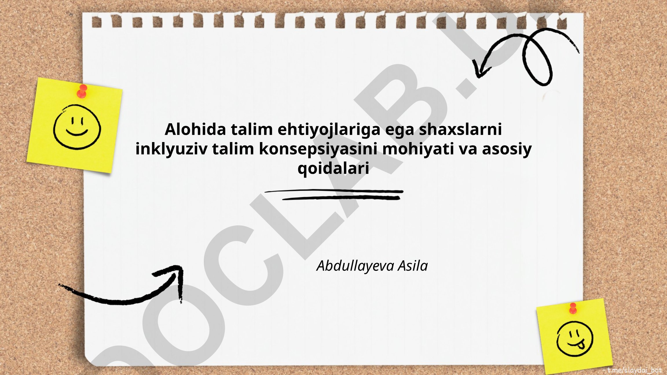 Alohida talim ehtiyojlariga ega shaxslar uchun inklyuziv talim konsepsiyasi