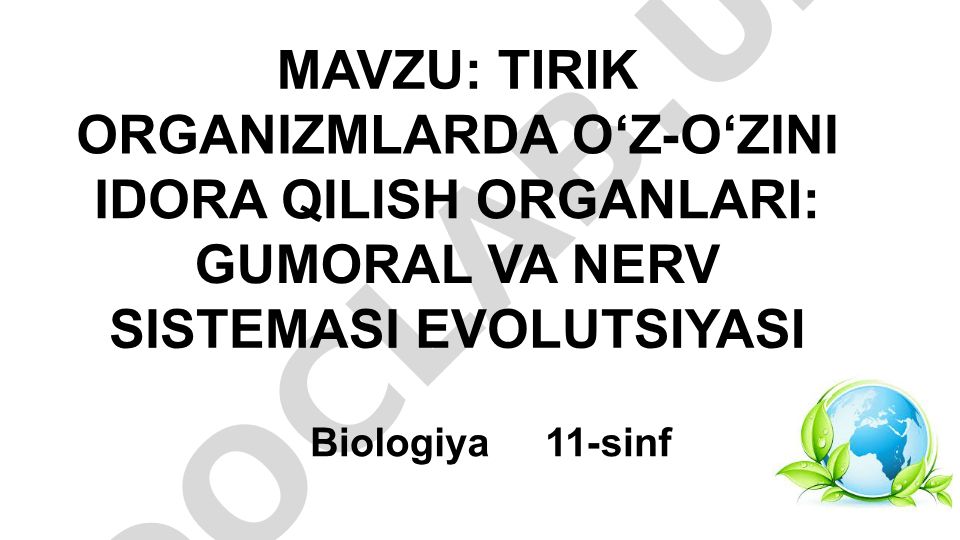 Tirik organizmlarda o‘z-o‘zini idora qilish organlari: gumoral va nerv sistemasi evolyutsiyasi