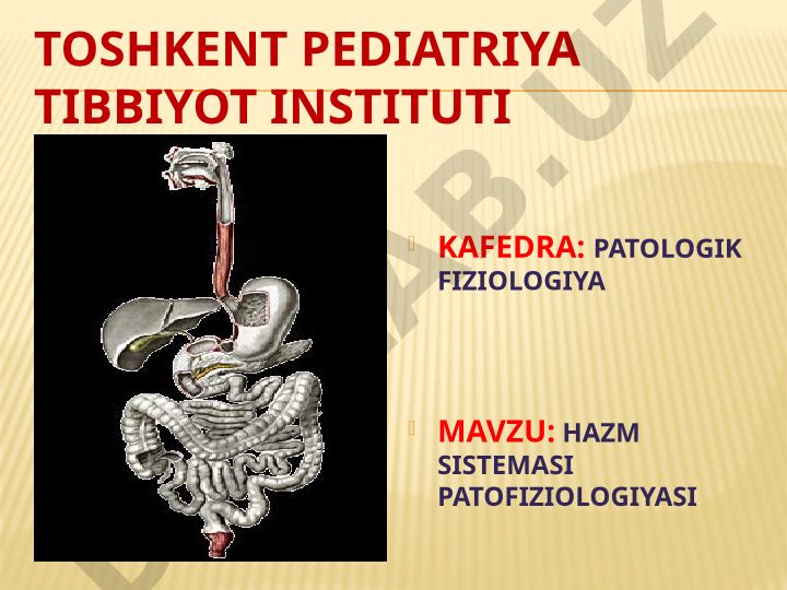 Hazm sistemasi patofiziologiyasi