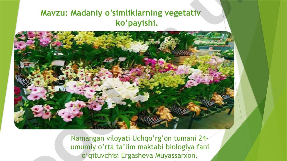 Madaniy o’simliklarning vegetativ ko’payishi