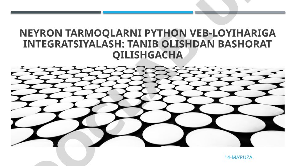 Neyron tarmoqlarni Python veb-loyihalariga integratsiyalash
