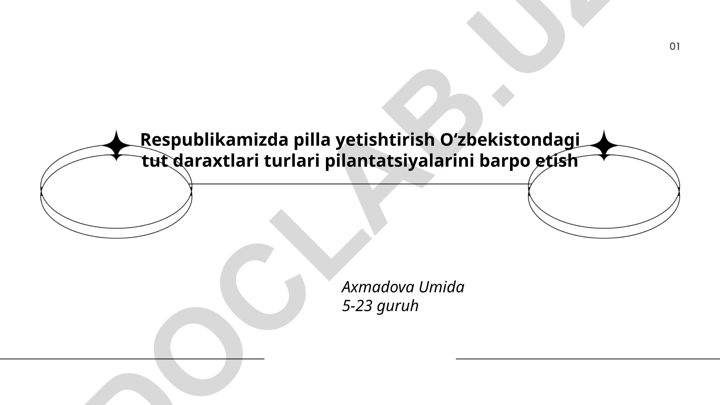 Respublikamizda pilla yetishtirish uchun tut daraxti turlari va ularni ko'paytirish usullari