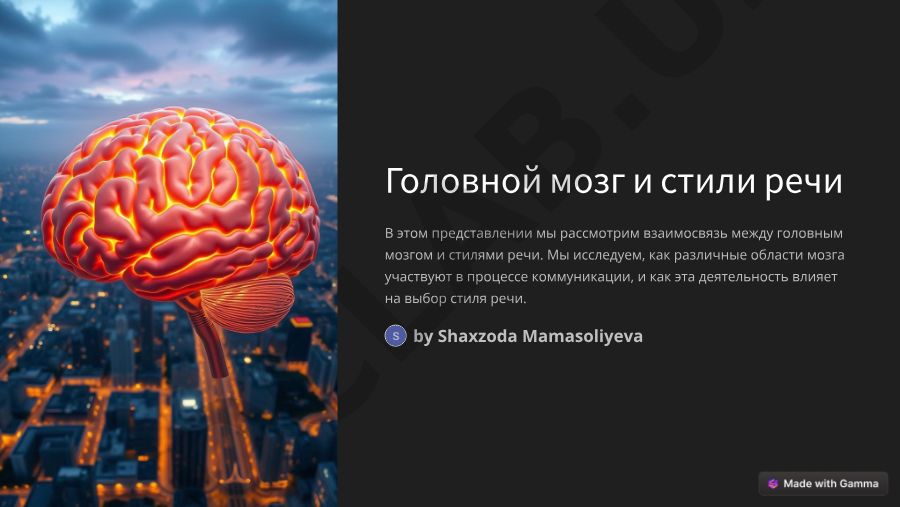 Головной мозг и стили речи