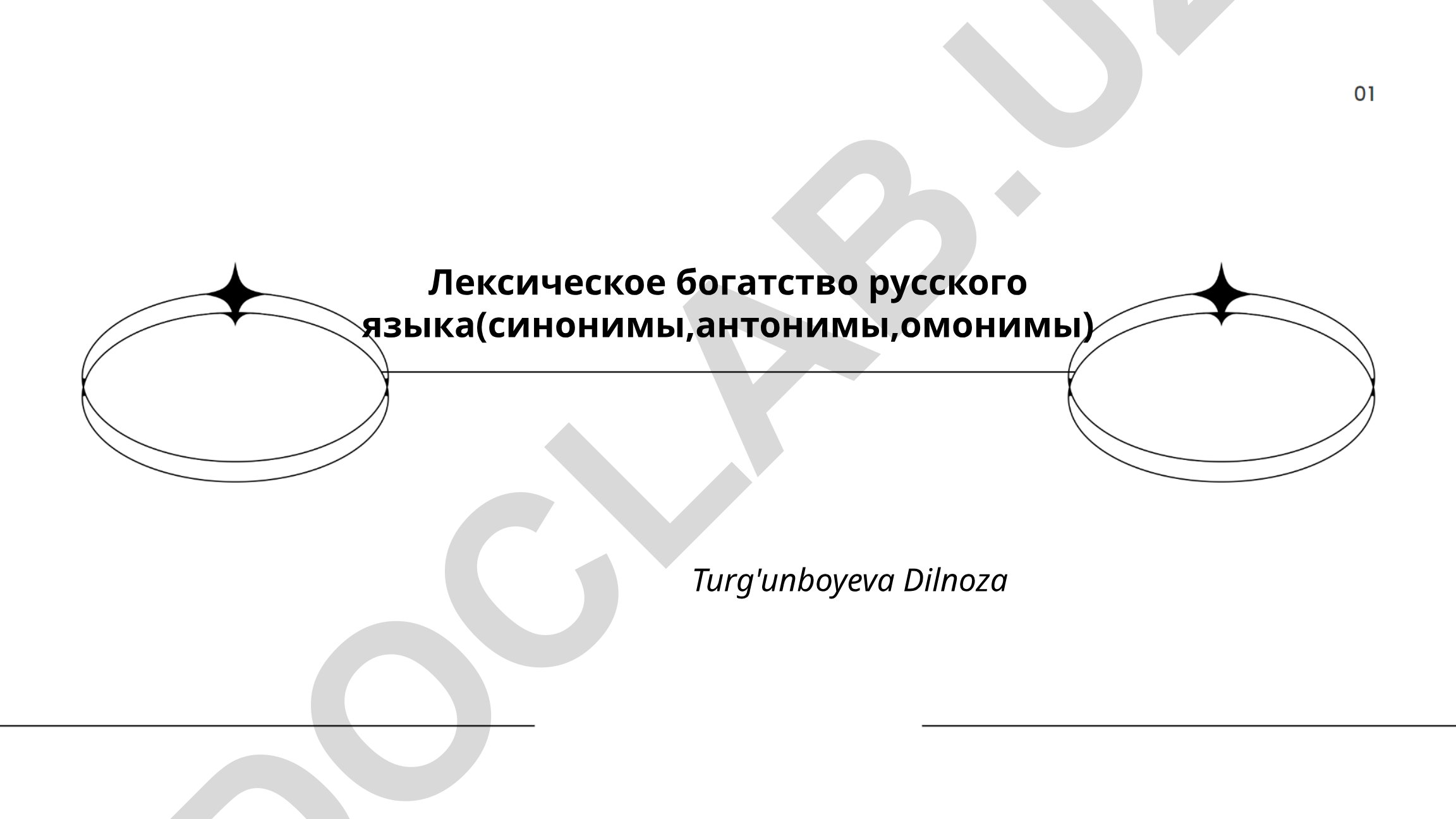 Лексическое богатство русского языка: синонимы, антонимы, омонимы