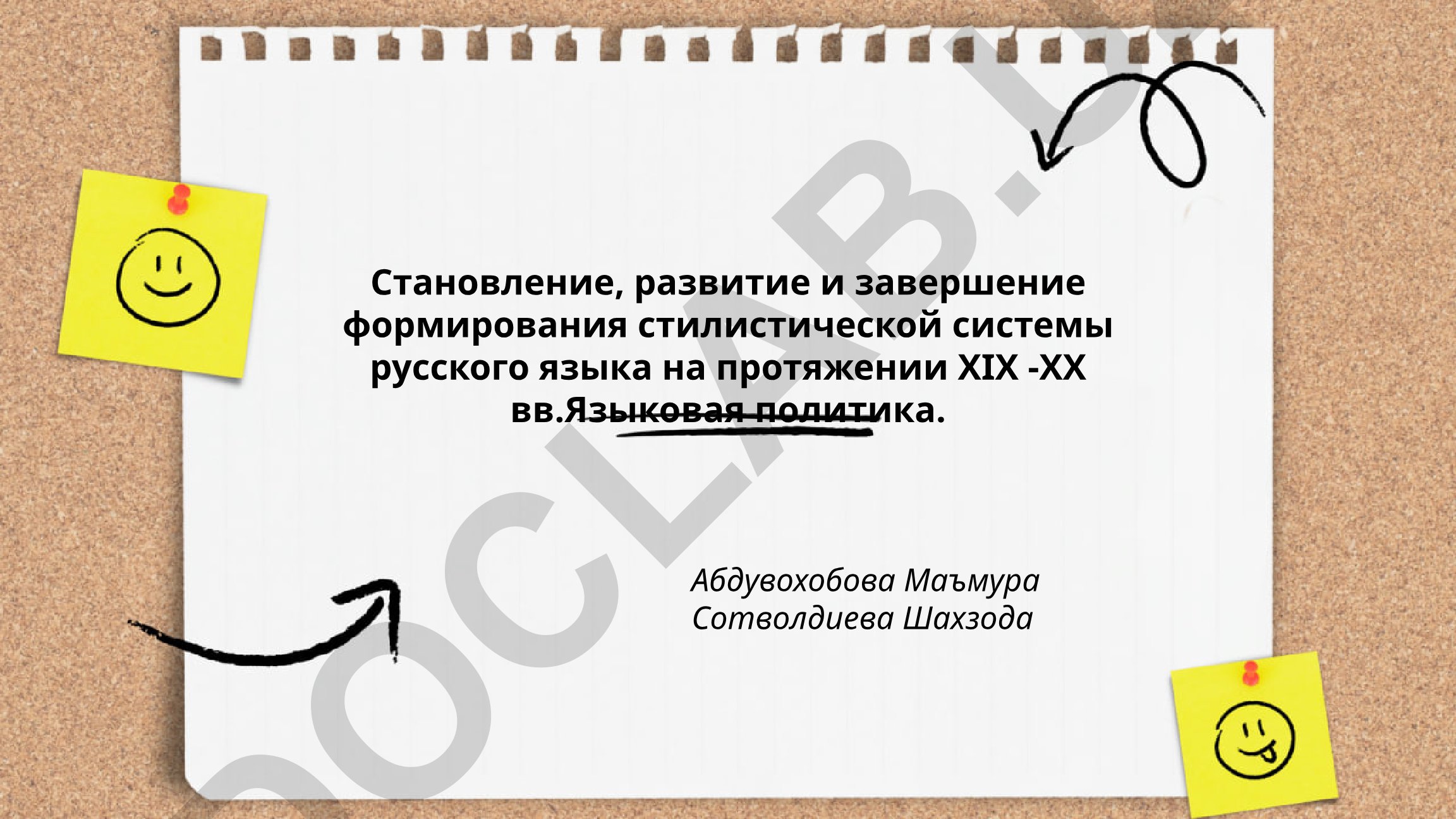 Становление, развитие и завершение формирования стилистической системы русского языка на протяжении ХIХ-ХХ вв. Языковая политика