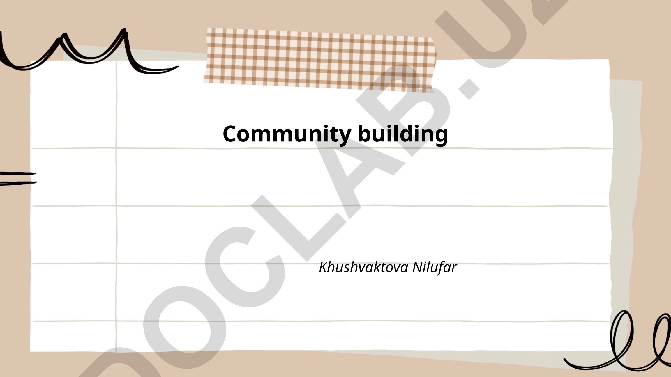 Community building: Social capital, trust and collaborative leadership