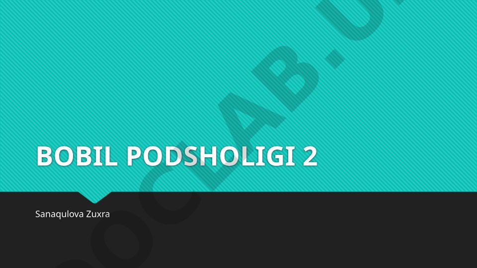 Yangi Bobil podsholigi tarixi va madaniyati
