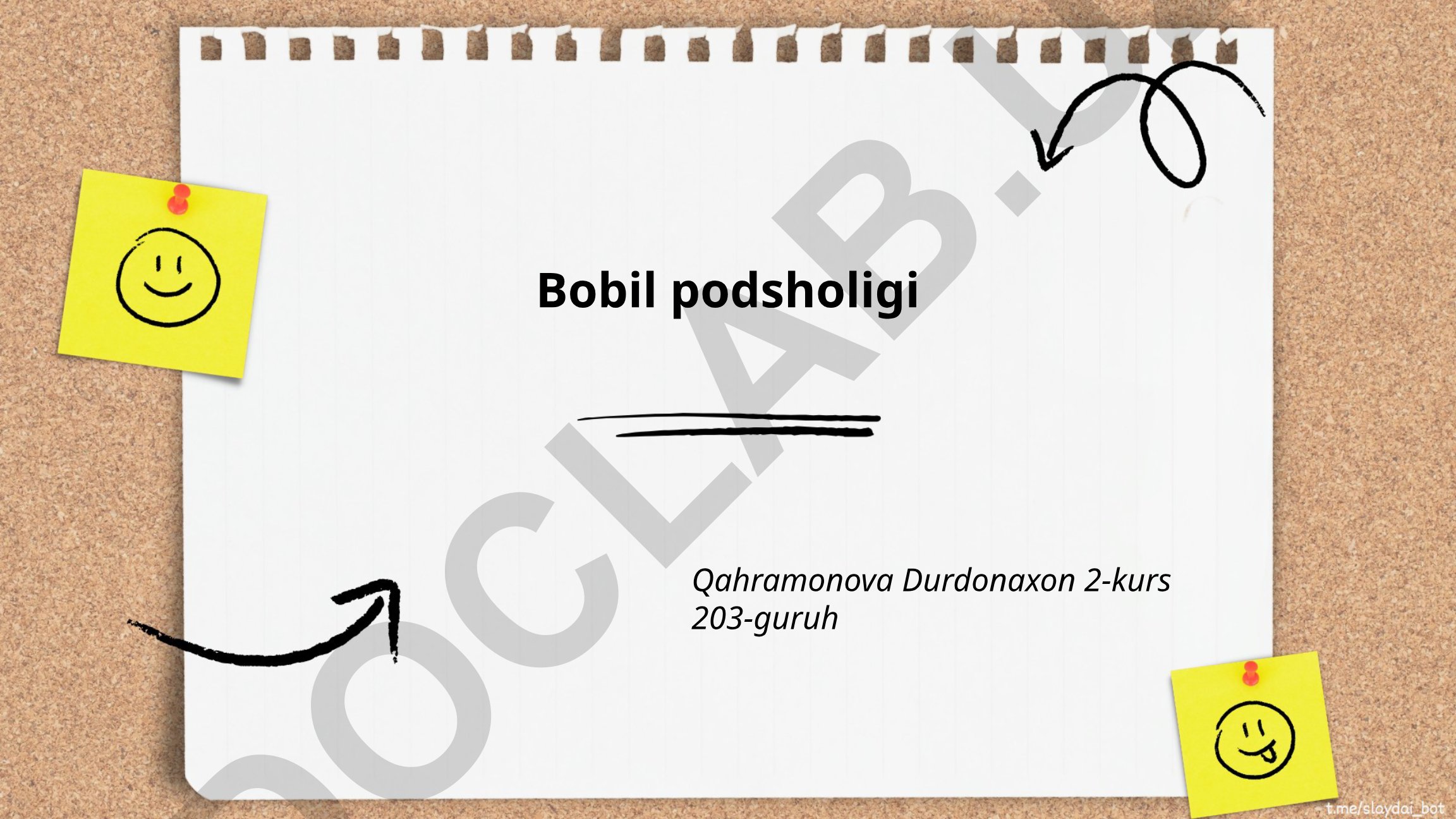 Bobil podsholigi: ijtimoiy o'rni, madaniyati va tarixiy rivojlanishi