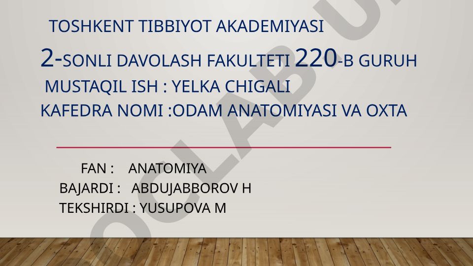Yelka chigali tuzilishi va funksiyasi