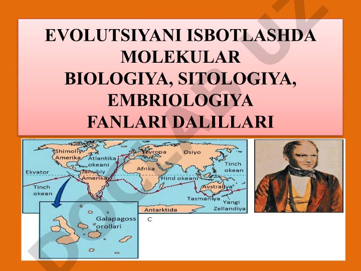 Evolutsiyani isbotlashda molekular biologiya, sitologiya, embriologiya fanlari dalillari