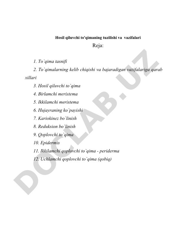 Hosil qiluvchi to'qimaning tuzilishi va vazifalari