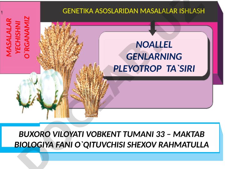 Genlarning pleyotrop ta'siri va irsiy kasalliklar